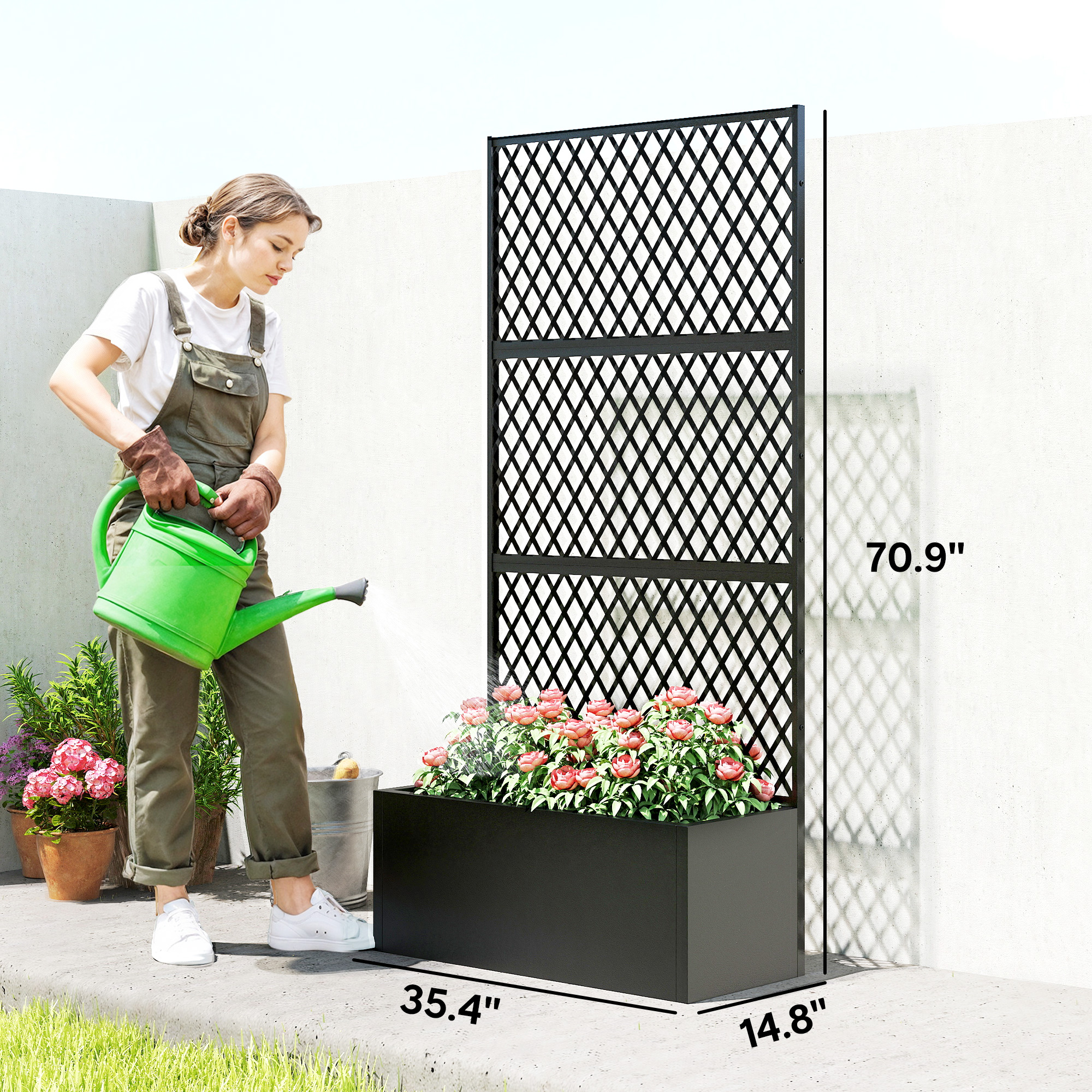 Black Metal Planter with Tall Diamond Trellis