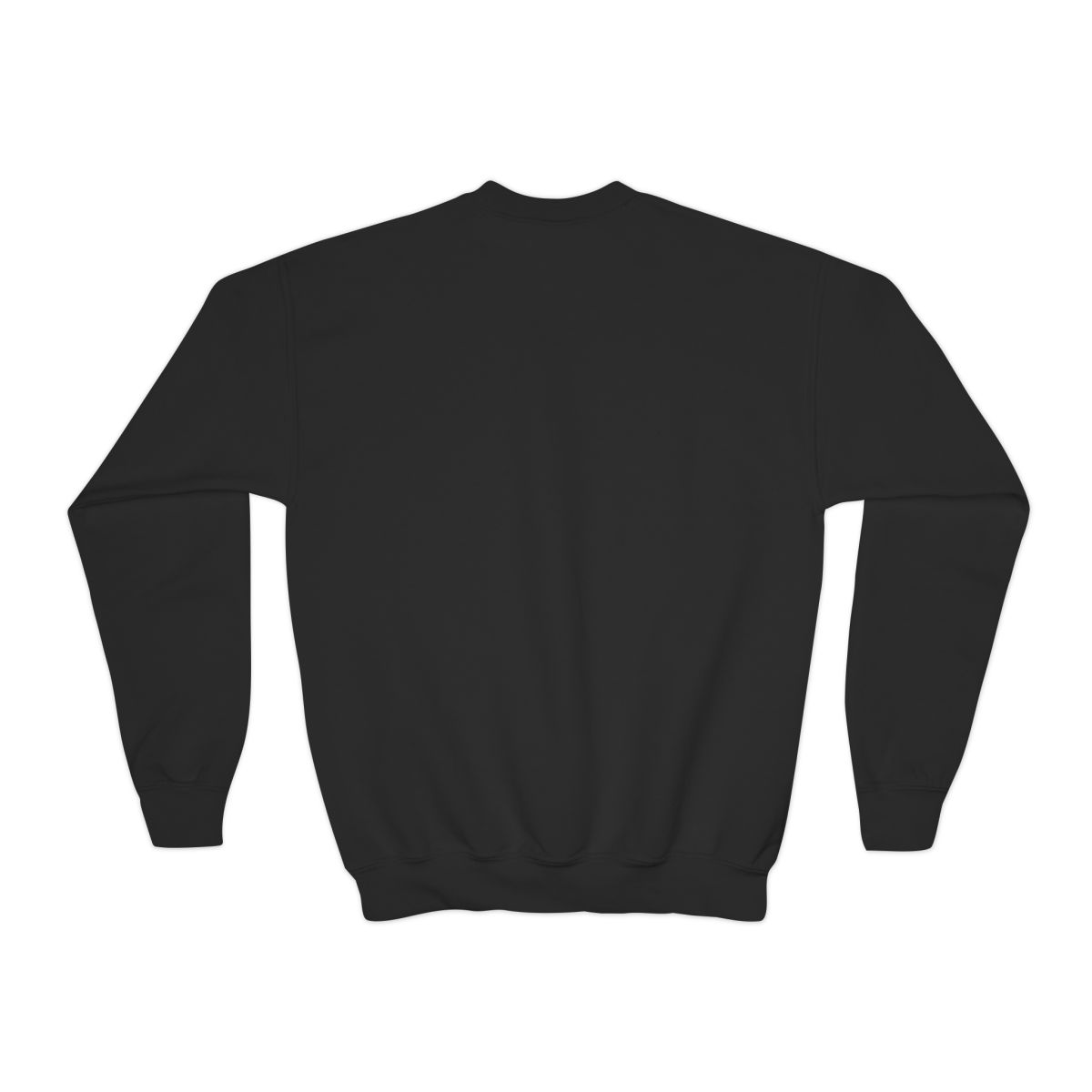 HD Coralfin Companion Youth Crewneck Sweatshirt, back view.