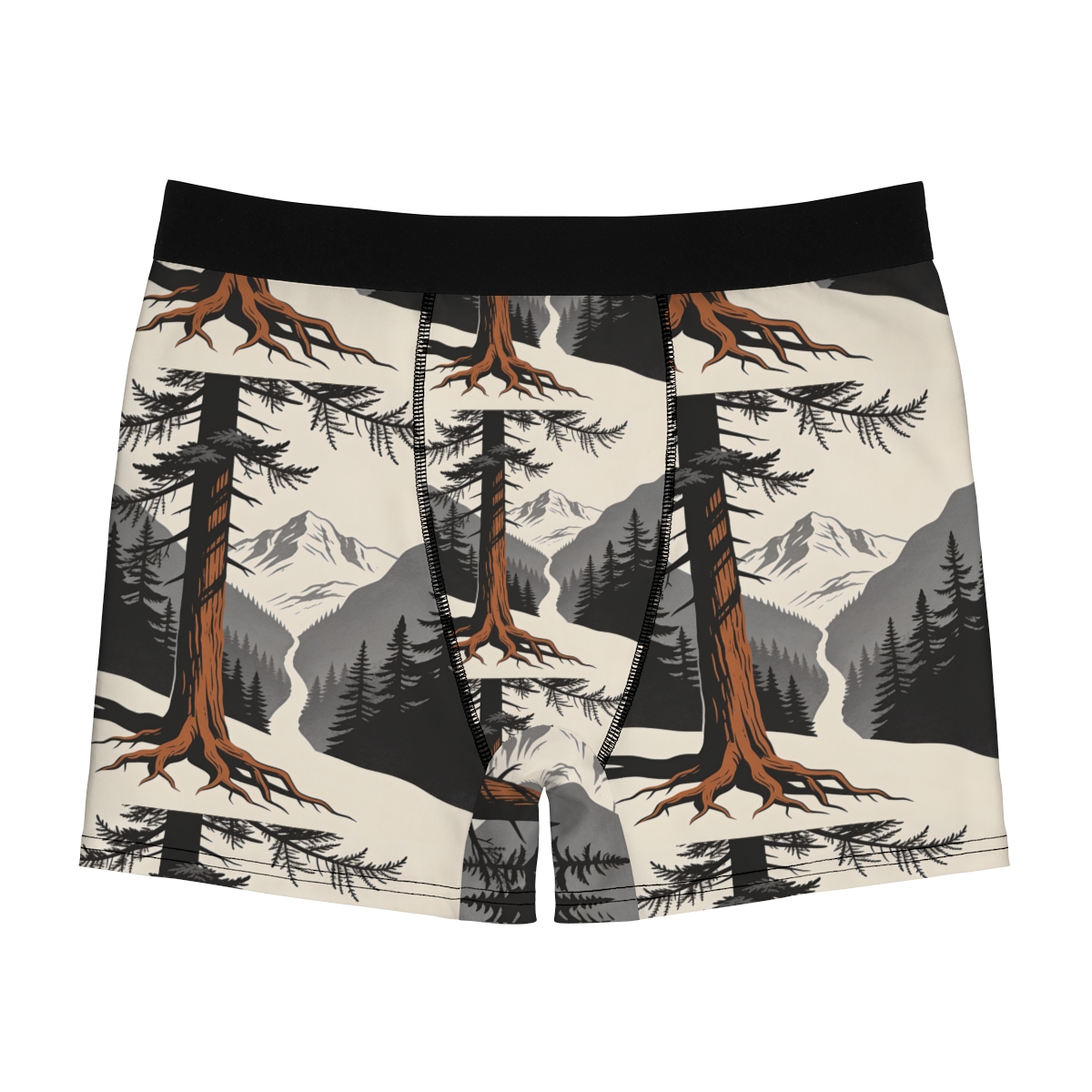 HD Cedar Valley Men's Boxer Briefs