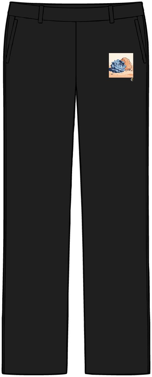 HD Succulent rosette balanced beside an irregular clay-colored rock Women’s Tailored Tech Trousers