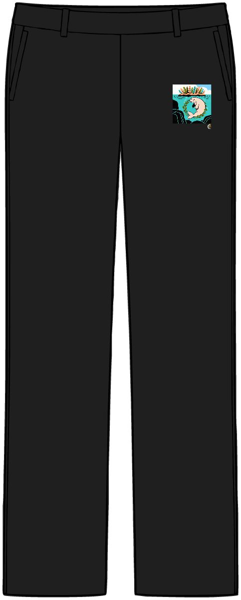 HD Original Art 670 Women’s Tailored Tech Trousers
