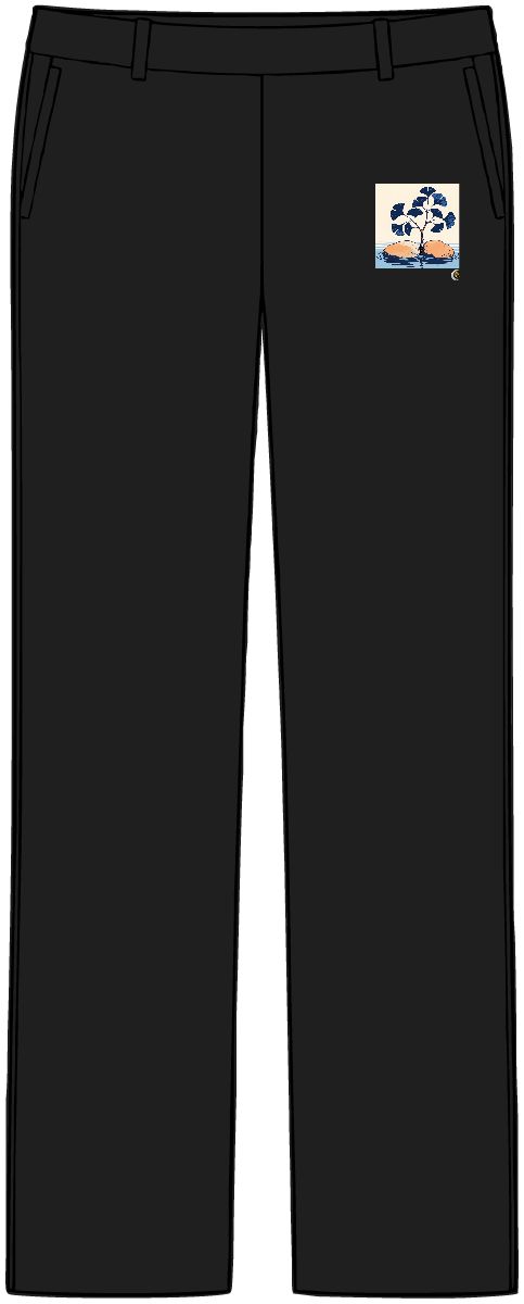 HD Ginkgo branch emerging between two broad river stones Women’s Tailored Tech Trousers