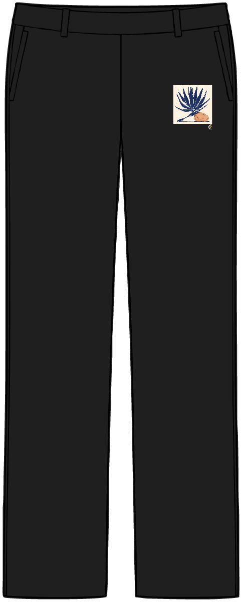 HD Desert spoon plant balanced beside an irregular clay-colored rock Women’s Tailored Tech Trousers