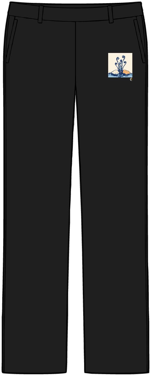 HD Fiddlehead cluster emerging between two broad river stones Women’s Tailored Tech Trousers