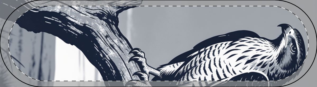Original Art 563 Decorative Skateboard Deck